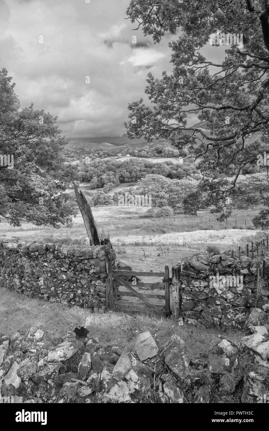 Schwarze und weiße schöne Landschaft Bild der Blick vom Abgrund weg in Snowdonia mit Blick auf Hirtshals und Coed-y-Brenin Wald während der regnerischen afternoo Stockfoto