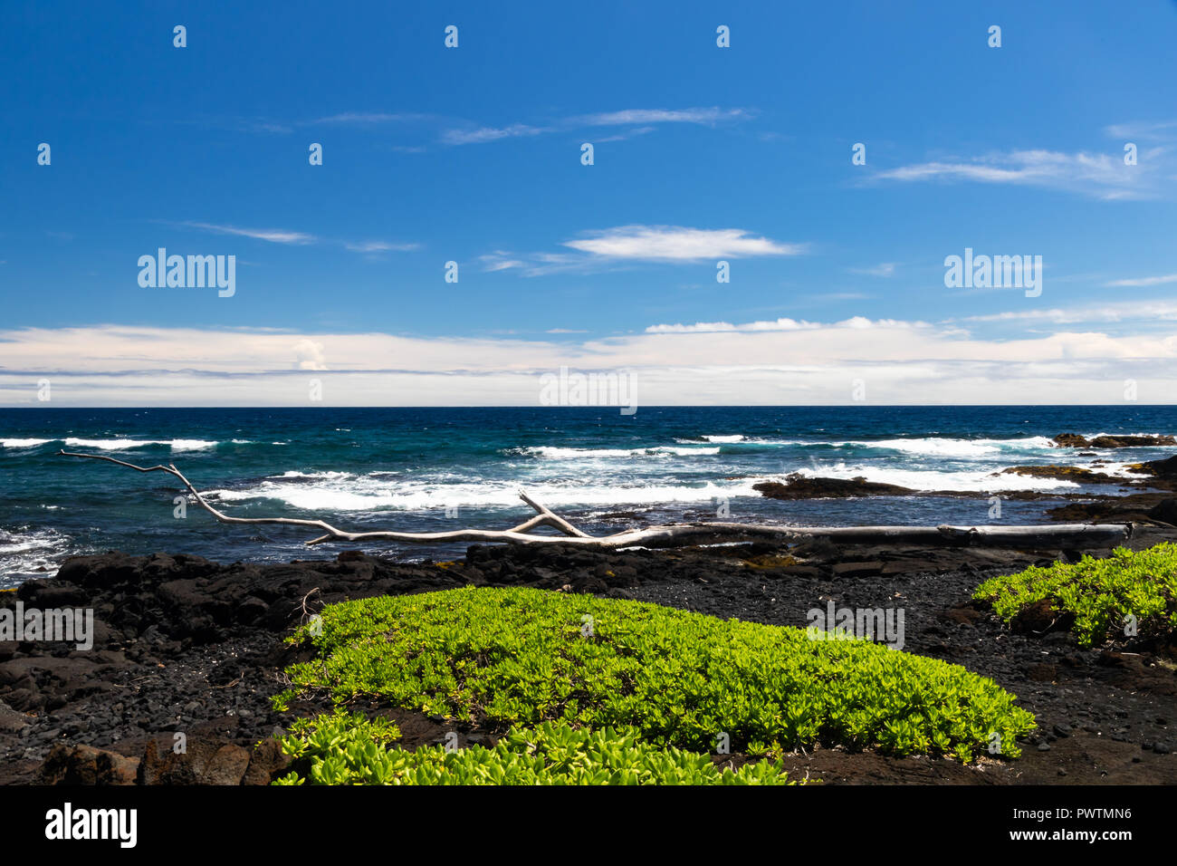 Schwarzer Sandstrand auf der grossen Insel von Hawaii; schwarze Vulkangestein und Vegetation im Vordergrund, das blaue Meer und Wellen im Hintergrund Stockfoto