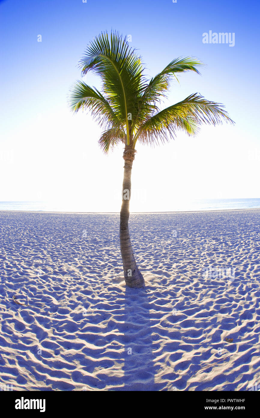 Miami Beach, Miami, Florida, USA Stockfoto