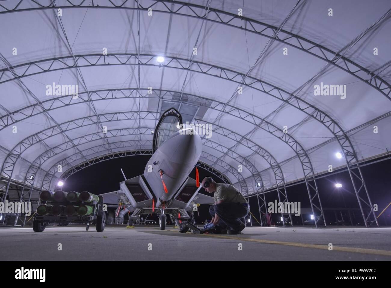 Ein US Air Force Crew Chief bis zur 27 Fighter Wing zugeordnet führt eine Prüfung auf eine F-22 Raptor bei Joint Base Langley-Eustis, Virginia, 27. Juni 2017. Die neu erbaute, Sonnenschutz haben eingebaute Leuchten, dass die Flugzeuge, die alle Leuchten sind lief allein auf Solarenergie. Stockfoto