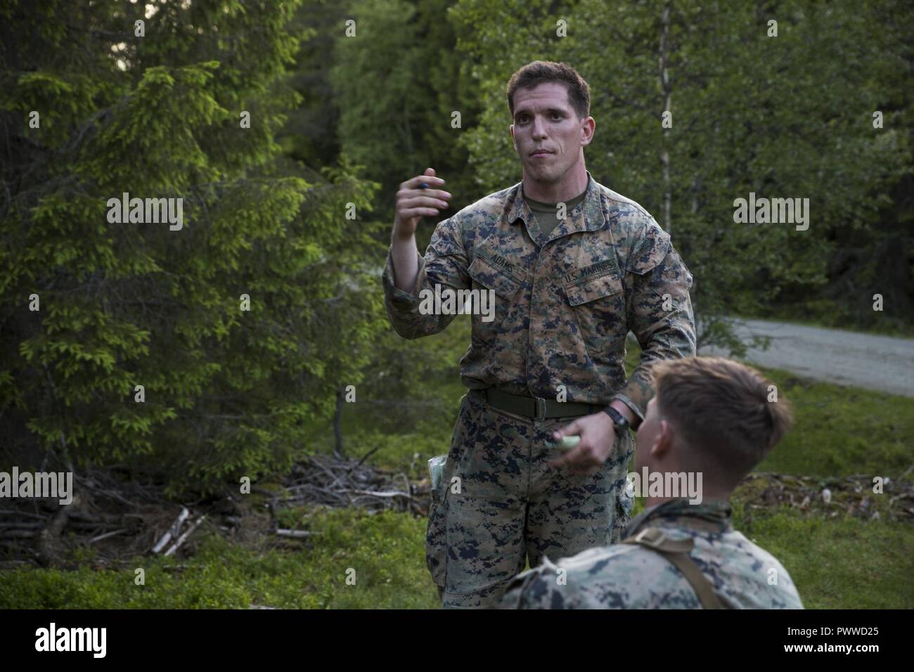 Sgt. Kyle Adams, eine Maschine gunner mit Marine Drehkraft Europa 17,1 (MRF-E), Aufgaben die Mitglieder seiner Gruppe vor einem fiktiven Angriff während einer Gruppe Wettbewerb Juni 29, 2017, in Stjørdal, Norwegen. Squad Führer waren erforderlich, um eine Fünf Absatz um Ihr Verständnis für die Bekämpfung der Bestellungen zu geben. MRF-E Führung der Gesellschaft erhöht die Schwierigkeit der Gruppe Wettbewerb durch die Durchführung in bergigem Gelände. Stockfoto