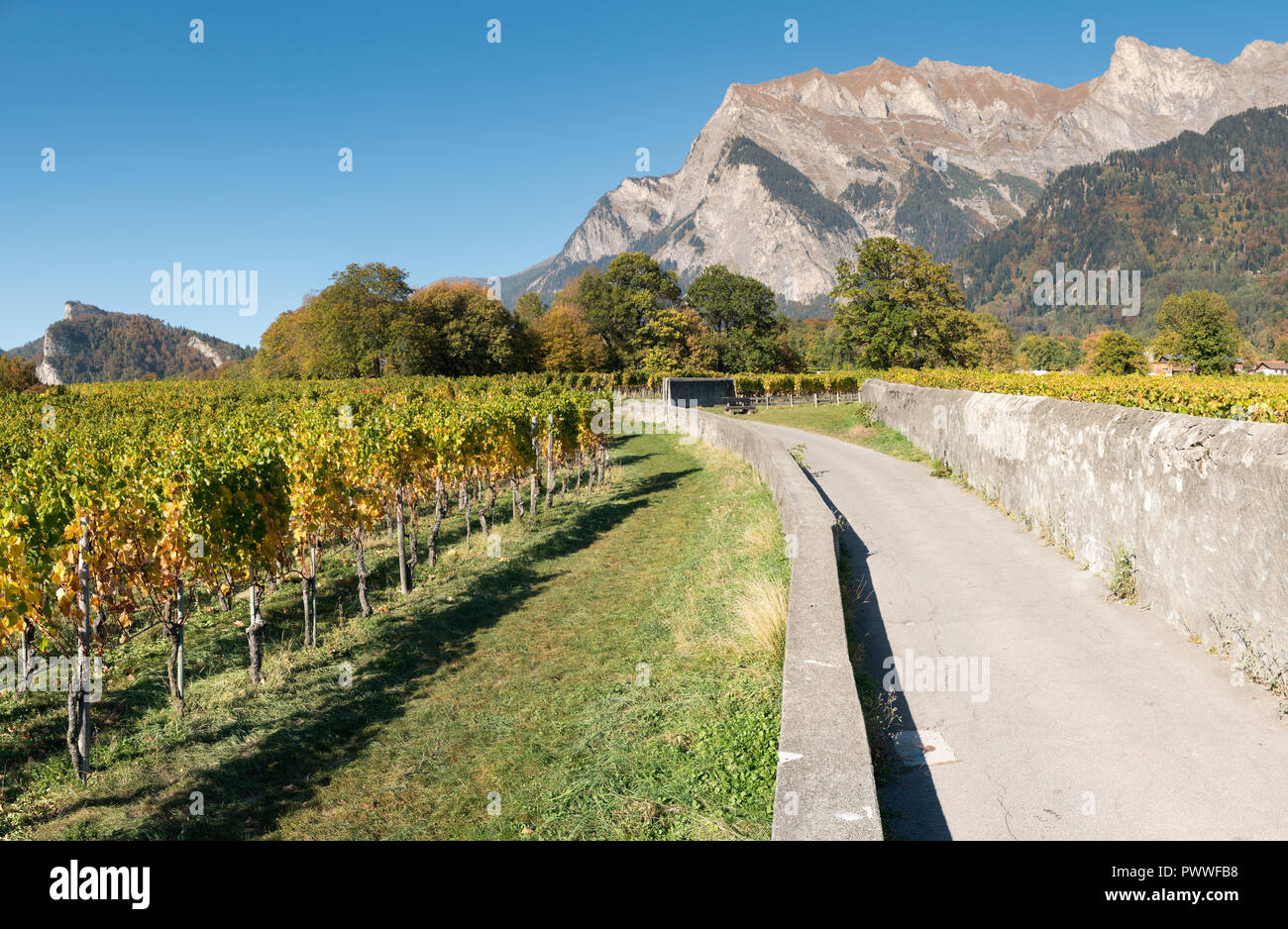 Landschaft Berglandschaft mit Golden Leaf Weinberge und Felswände in der Schweiz im späten Herbst Stockfoto