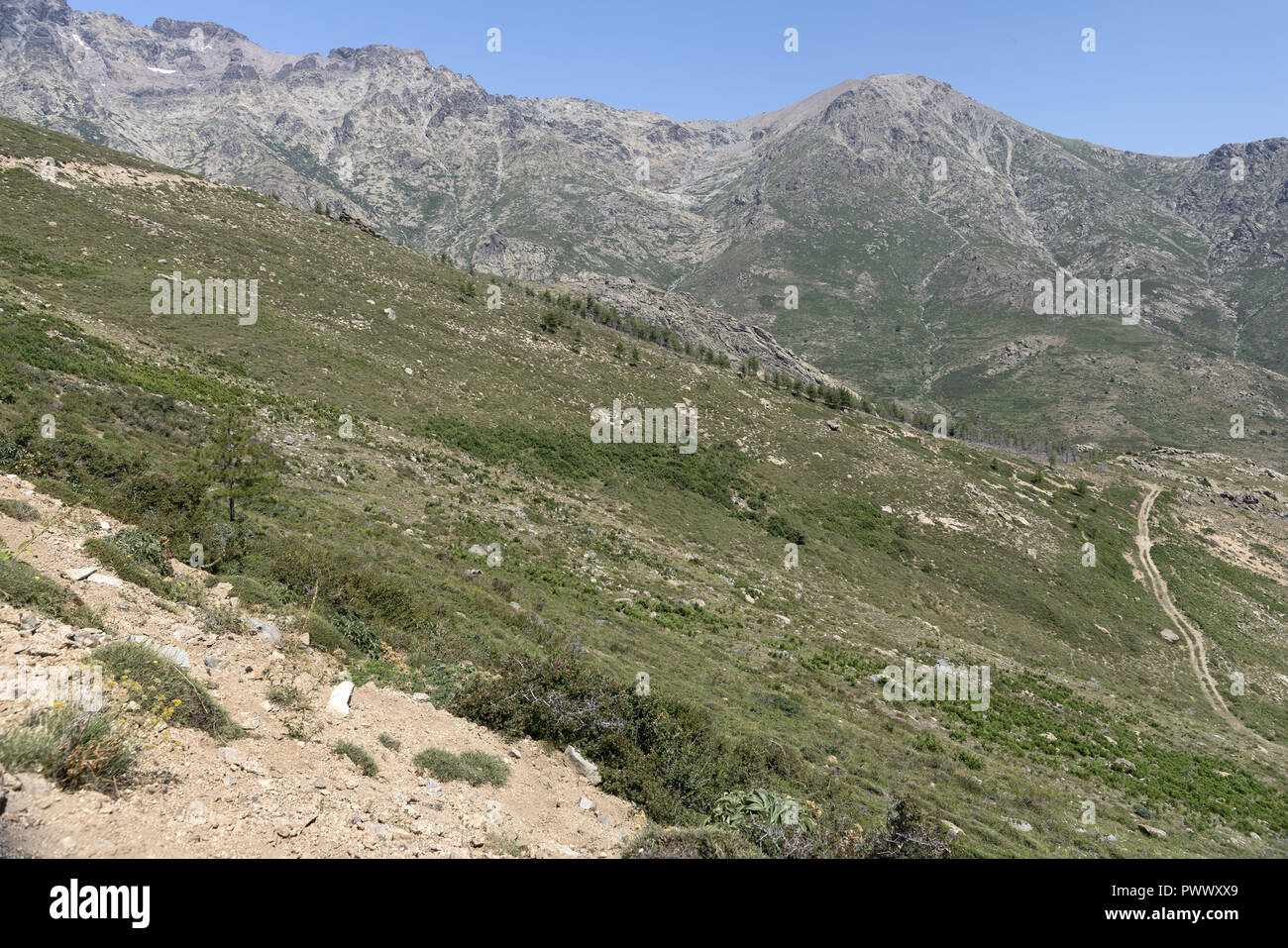 Massiv Monte Cinto, der höchste Berg in Korsika (2706 m). Masyw Monte Cinto, na Korsyce najwyższa Góra (2706 m). Stockfoto