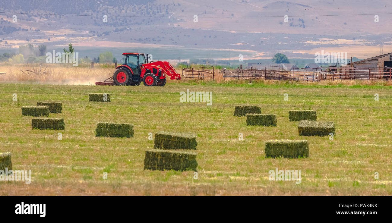Roter Traktor und alten Scheune auf einem Feld in Utah Valley Stockfoto