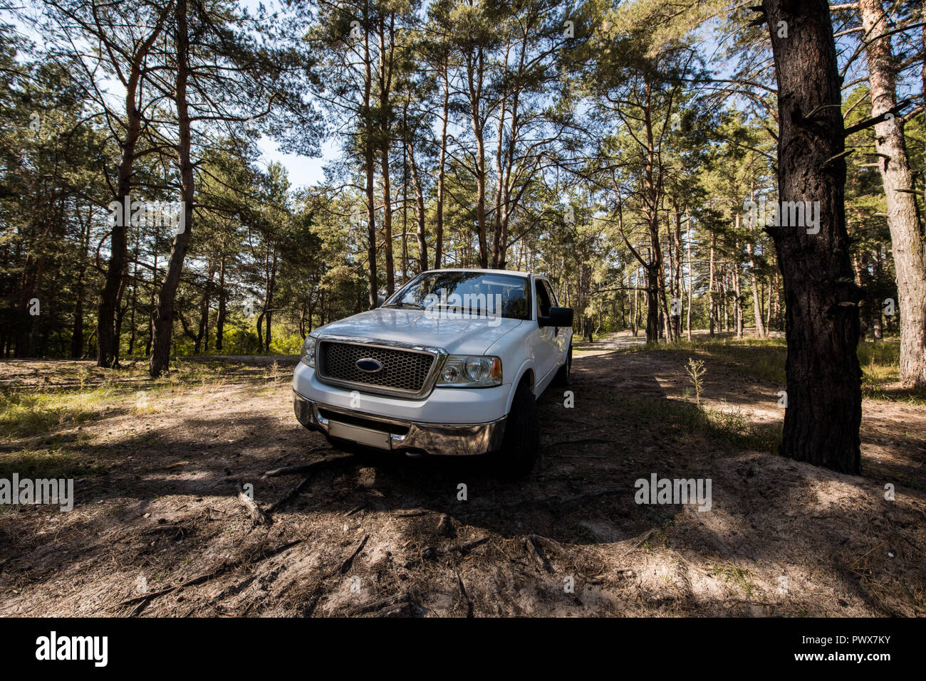 Weißer Pickup Truck im Herbst Wald Stockfoto