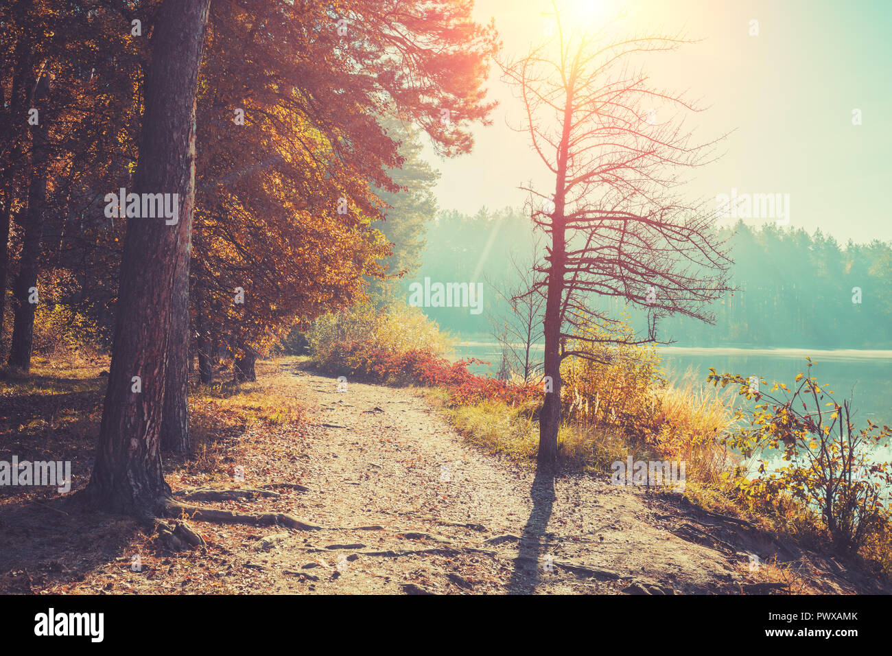 Am frühen Morgen, Sonnenaufgang über dem See. Ländliche Landschaft im Herbst. See Gehweg Stockfoto