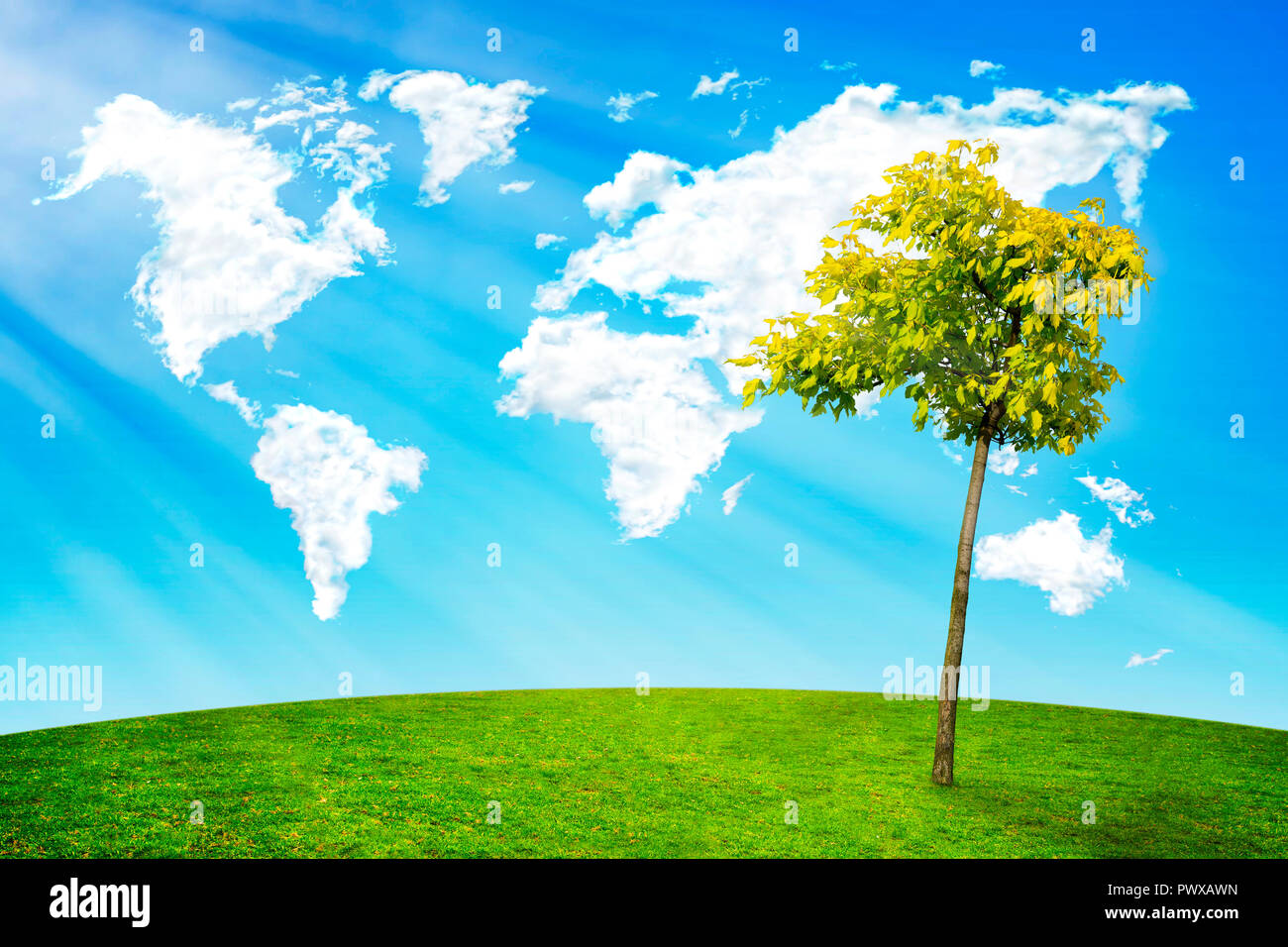 Wolken in Form einer Weltkarte auf der grünen Wiese mit Baum in der Sonne. Stockfoto