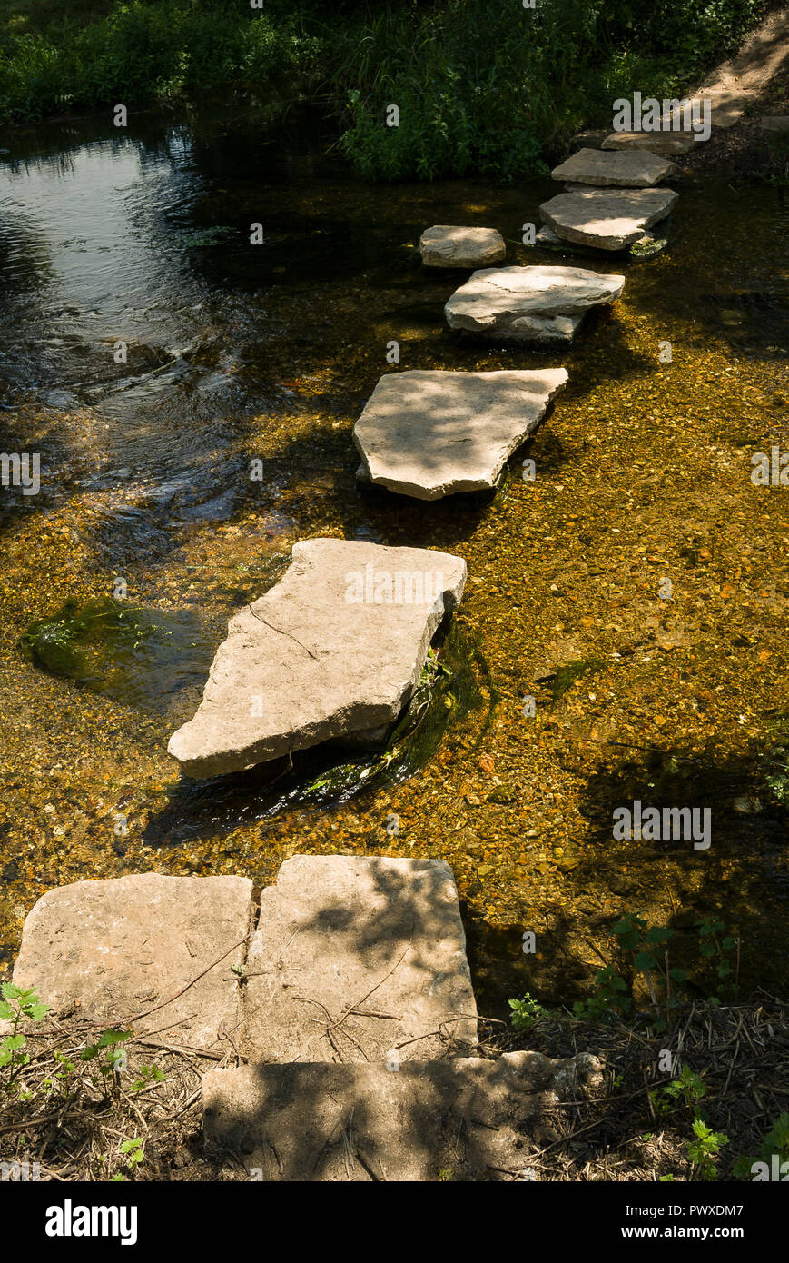 Trittsteine über den Fluss Stour in Corfe Mullen Dorset England UK Stockfoto