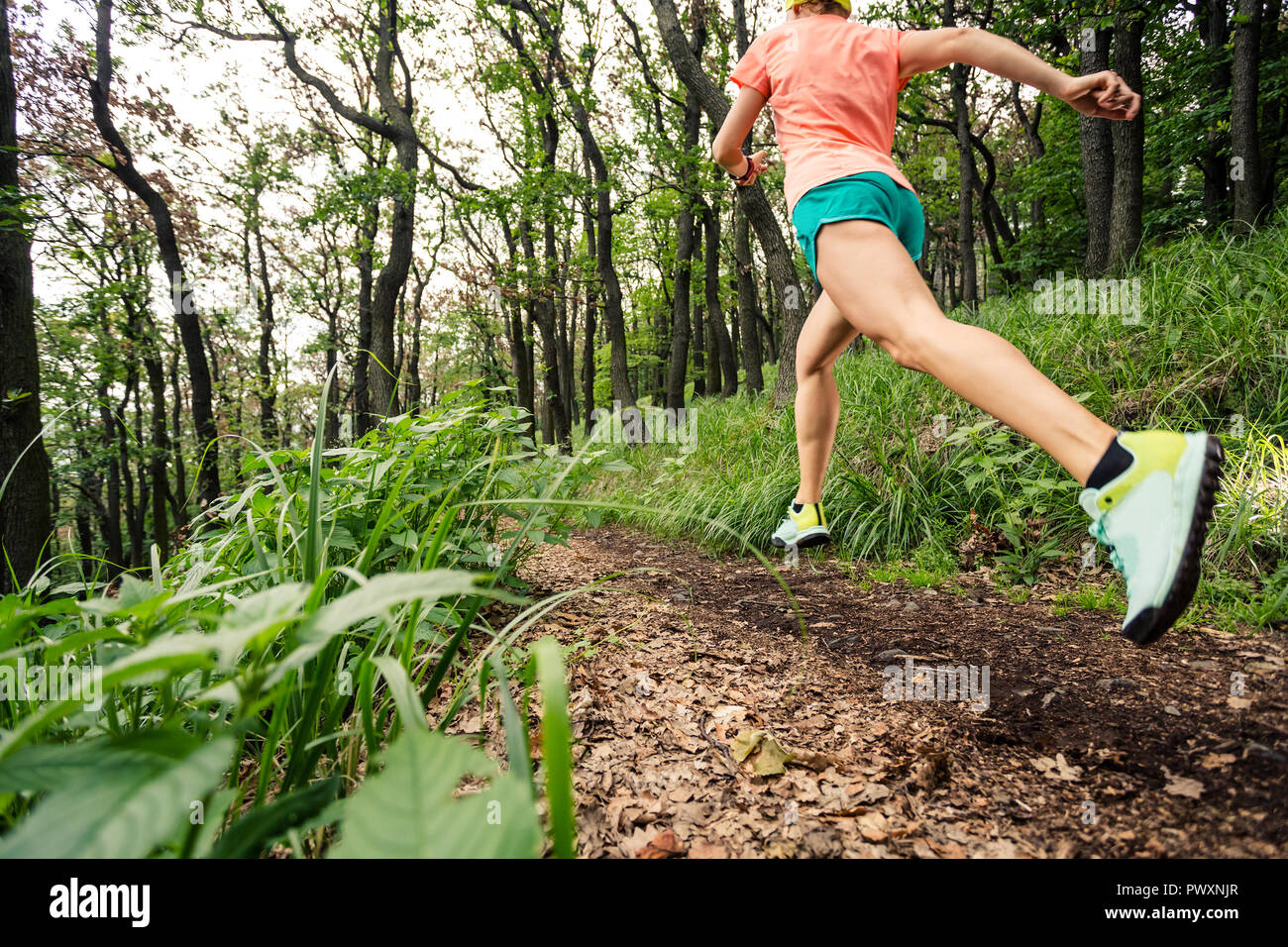 Junge Frau im grünen Wald läuft. Ausdauer sport training. Weibliche Trail Runner querfeldein laufen. Sport und Fitness Concept draußen in der Natur Stockfoto