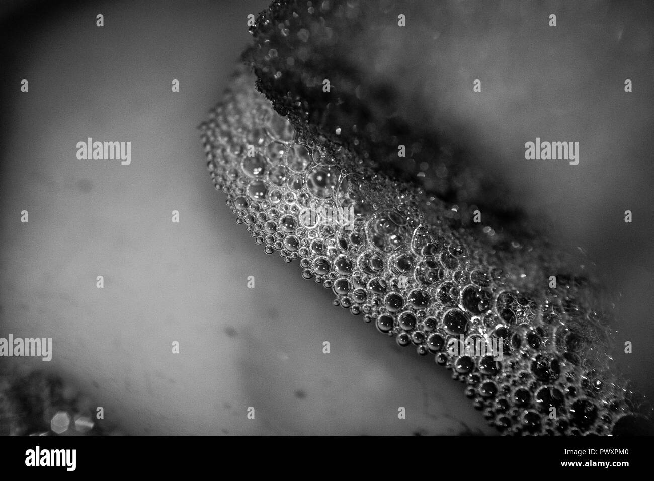 Makro Oberfläche in der Küche, eine geheime Welt der Blasen und Wasser, der faszinierenden Welt des Unsichtbaren Stockfoto