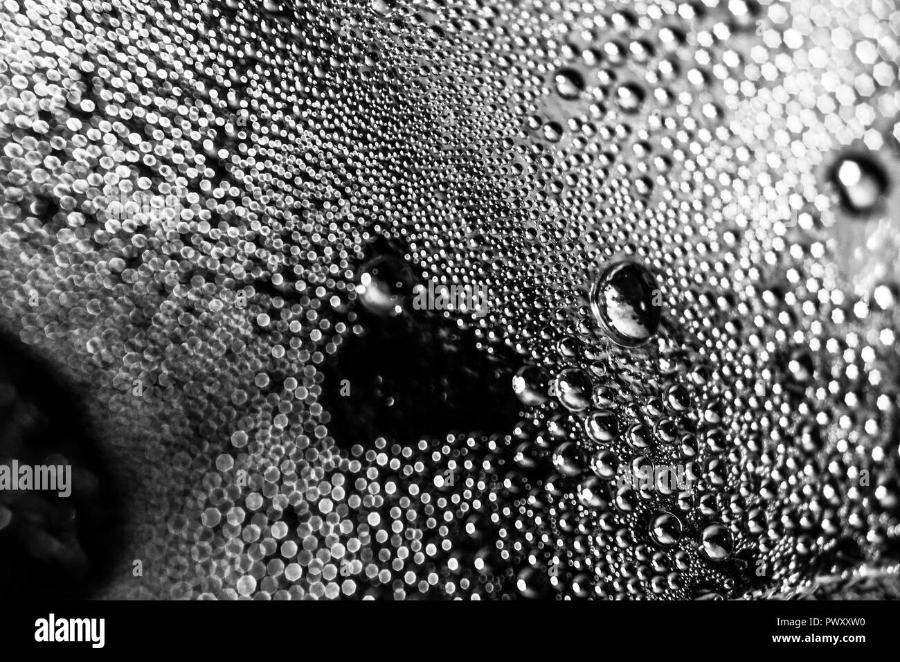 Makro Oberfläche in der Küche, eine geheime Welt der Blasen und Wasser, der faszinierenden Welt des Unsichtbaren Stockfoto