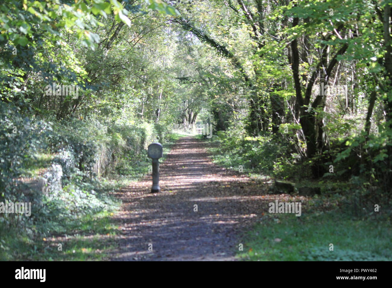 Ystwyth Trail, Llanilar, in der Nähe von Arrochar, Großbritannien, 18. Oktober, 2018. UK Wetter: Ein herrlicher Goldener Herbst Tag entlang der Ystwyth Trail, eine alte stillgelegte Bahnstrecke in der Nähe von Llanilar, Ceredigion. Reiter mit Pferden und Wanderer mit Hunden genießen Sie die Wärme der Sonne unter den fallenden Blättern Credit: Mike Davies/Alamy Live News Credit: Mike Davies/Alamy leben Nachrichten Stockfoto