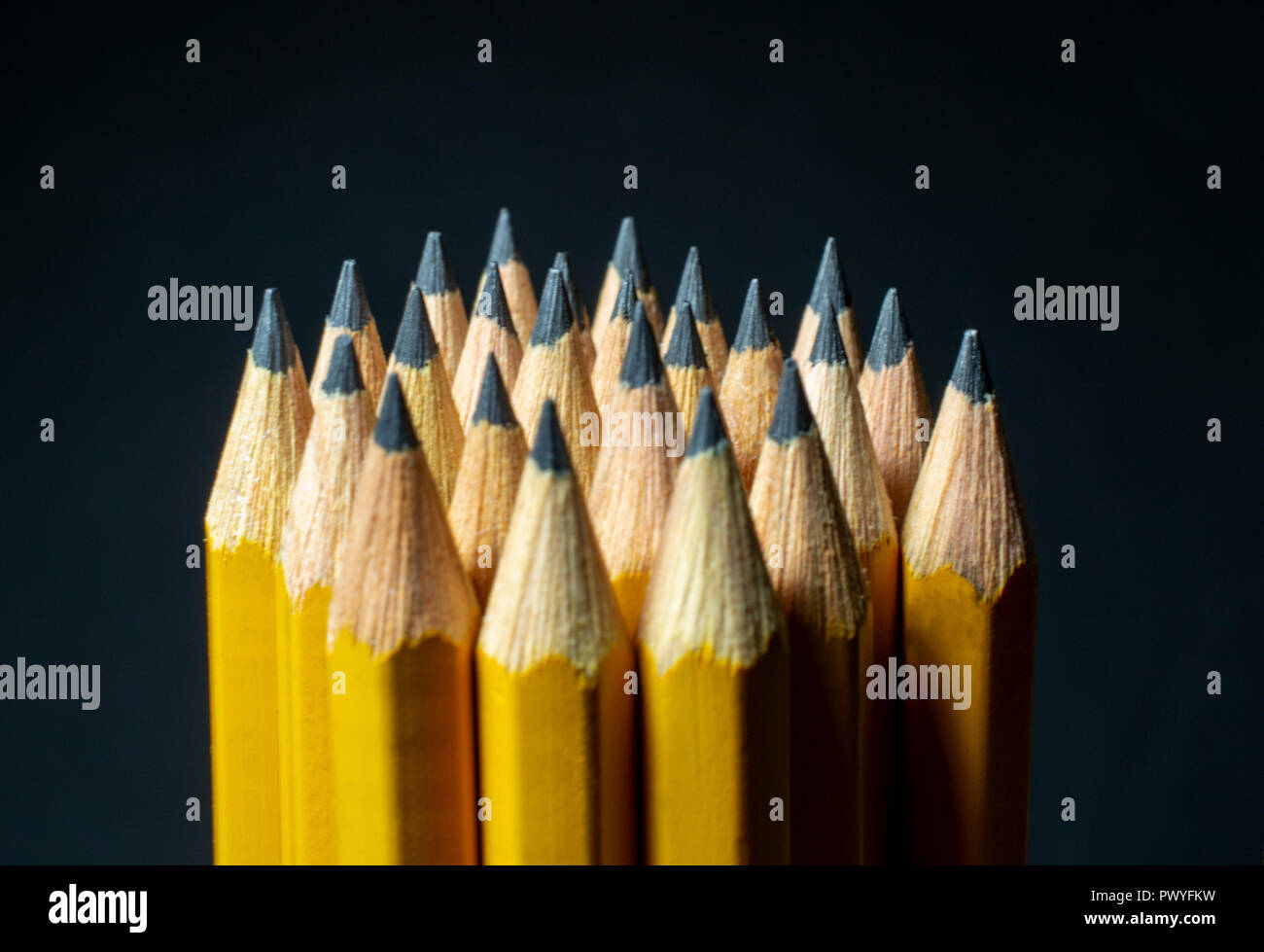 Gruppe von gelben Bleistifte mit geschärften Tipps Nach oben mit schwarzem Hintergrund Stockfoto