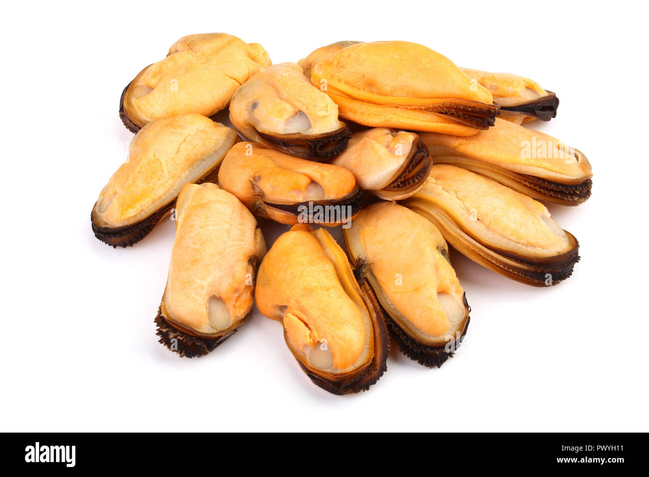 Muscheln ohne Schale auf weißem Hintergrund Stockfotografie - Alamy