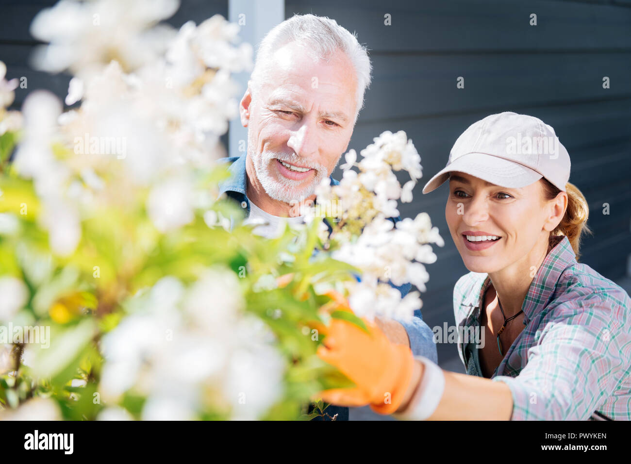 Übertragen von fröhlichen Mann und Frau stehen in der Nähe ihrer blühenden Baum Stockfoto