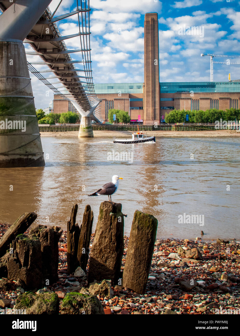 Unterhalb der Millennium Bridge Themse bei Ebbe und schaut in der Tate Modern Stockfoto
