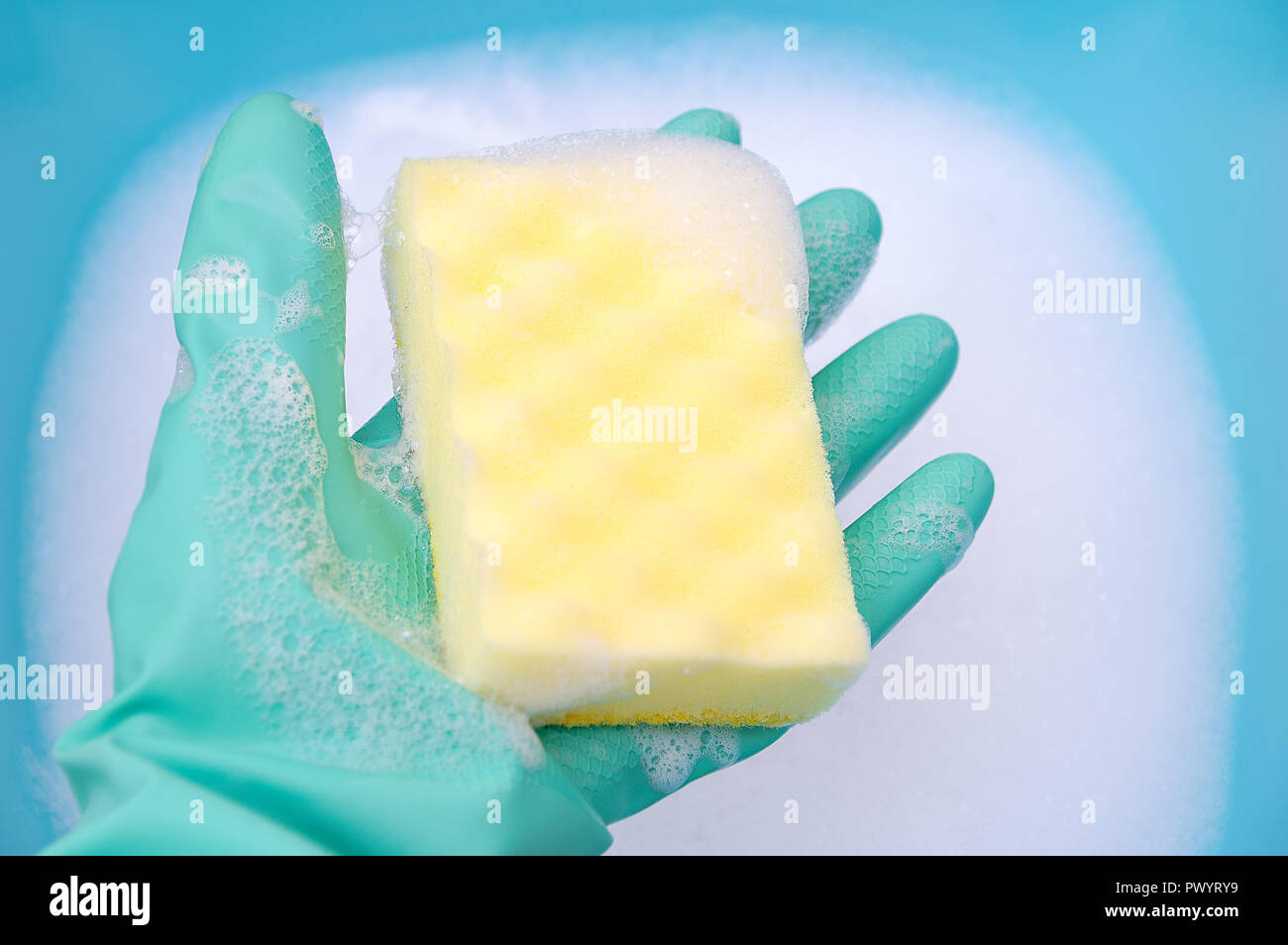 Eine Hand in einem türkis Handschuh hält ein geschirrspülmittel schwamm in einem reichhaltigen Schaum auf einem blauen Hintergrund. Close-up Stockfoto