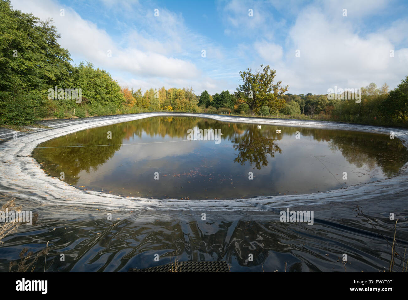 Großer Teich in der Nähe von Newbury, Berkshire, Großbritannien, mit niedrigen Wasserständen im Herbst 2018 die sommerlicher Dürre Stockfoto