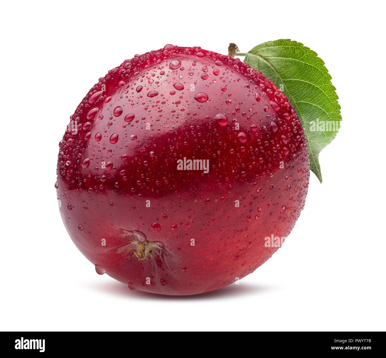 Roter Apfel mit Wassertropfen auf einem weißen Hintergrund. Stockfoto