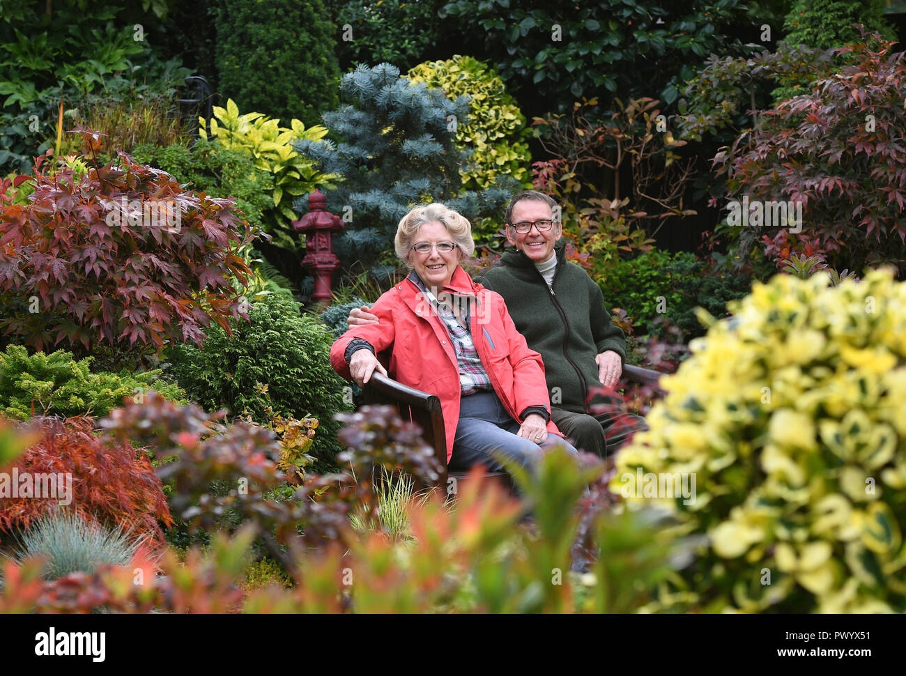 Tony und Marie Newton sitzen unter Pflanzen und Sträucher in Ihren vier Jahreszeiten Garten als es in herbstlichen Farben platzt an ihrem Haus in Walsall in den West Midlands. Stockfoto