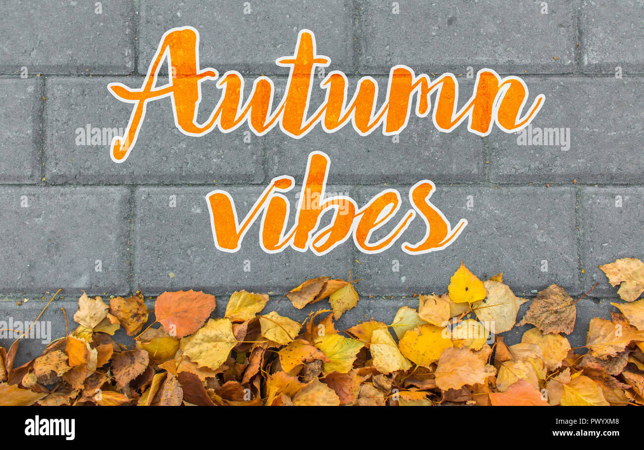 Herbst vibes Konzept. Gelbe Blätter auf Stein Steine Top View Stockfoto