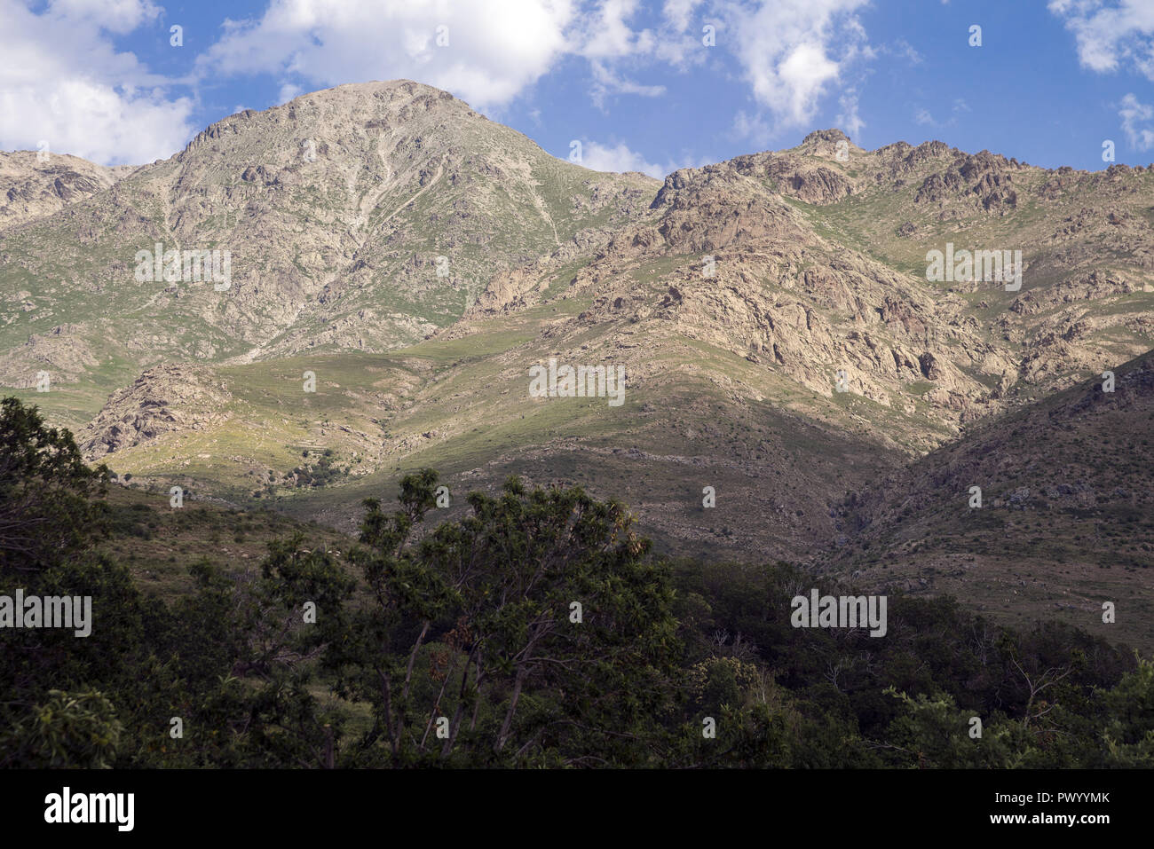 Massiv Monte Cinto, der höchste Berg in Korsika (2706 m). Masyw Monte Cinto, na Korsyce najwyższa Góra (2706 m). Stockfoto
