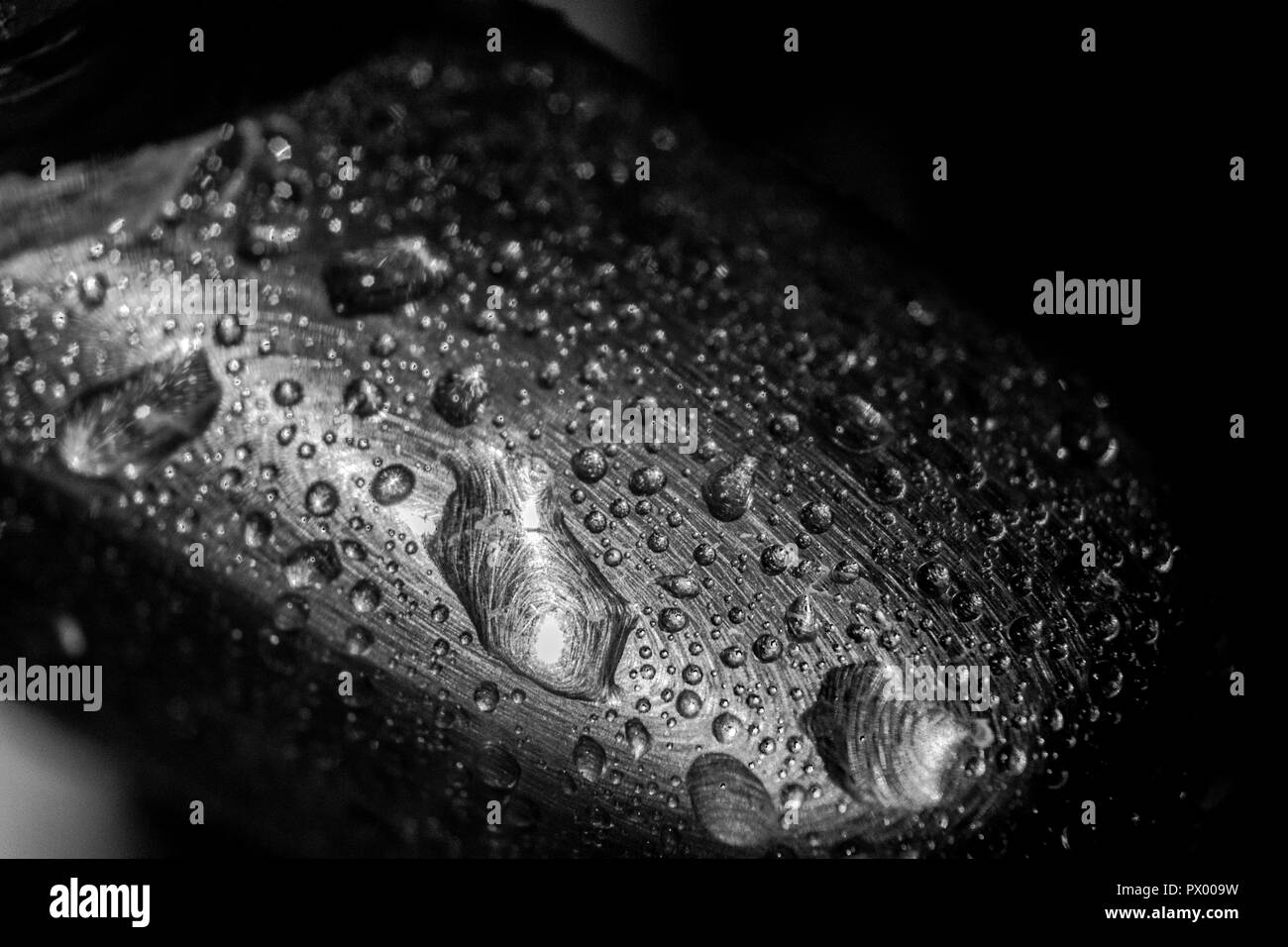 Makro Oberfläche in der Küche, eine geheime Welt der Blasen und Wasser, der faszinierenden Welt des Unsichtbaren Stockfoto