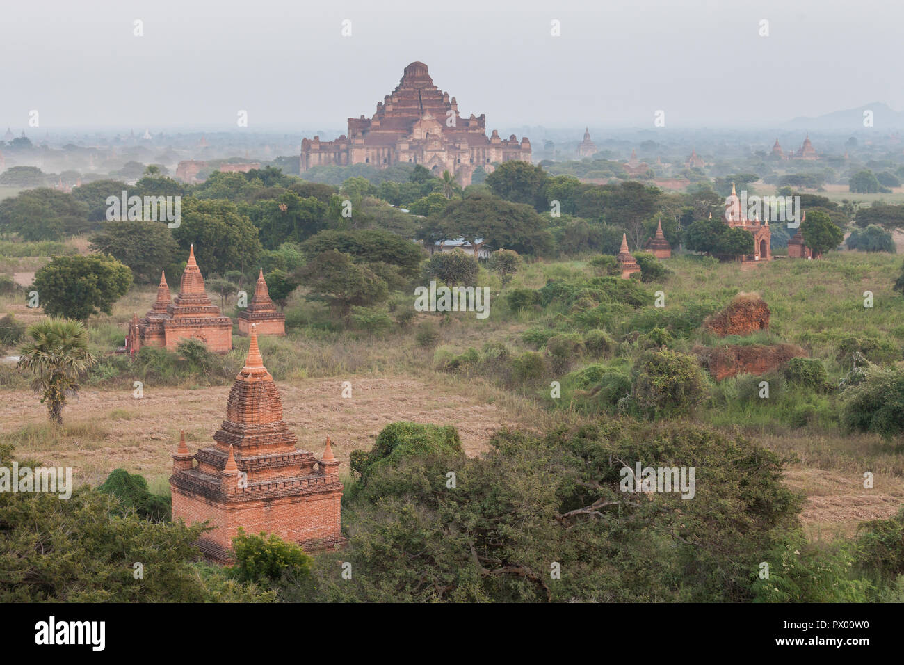 Panoramablick von Bagan Stupas und Tempeln, Myanmar Stockfoto