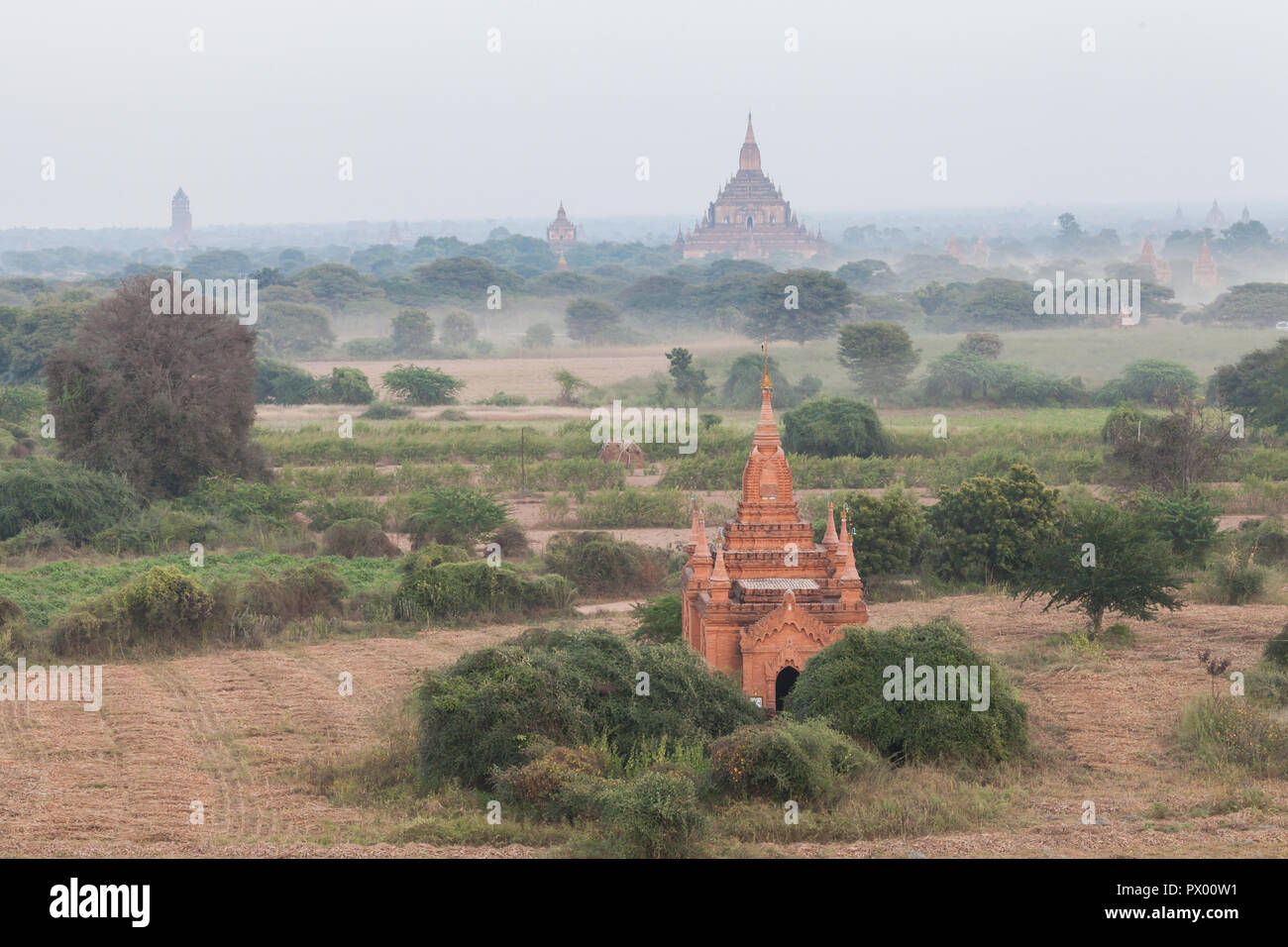 Panoramablick von Bagan Stupas und Tempeln, Myanmar Stockfoto
