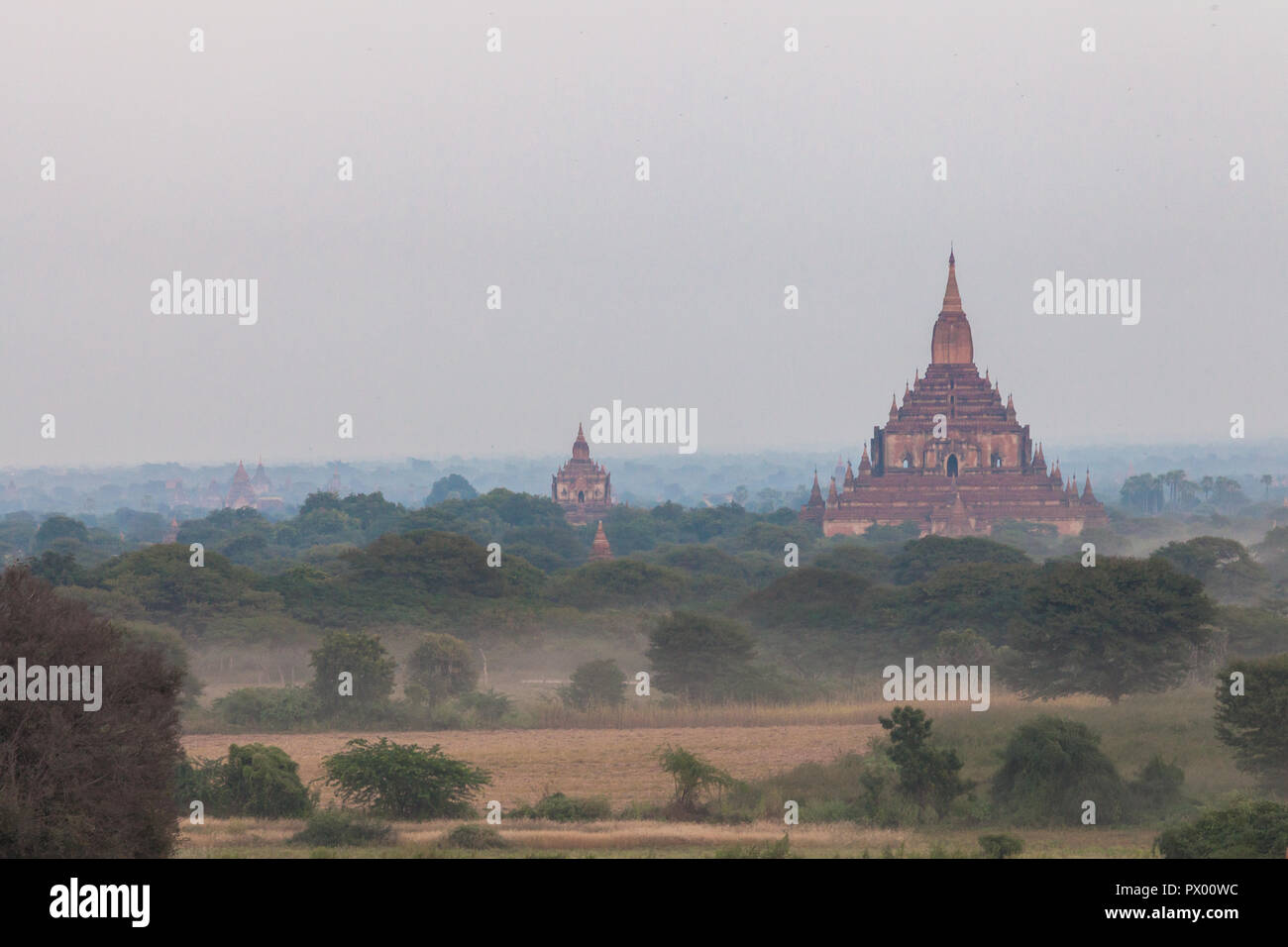 Panoramablick von Bagan Stupas und Tempeln, Myanmar Stockfoto