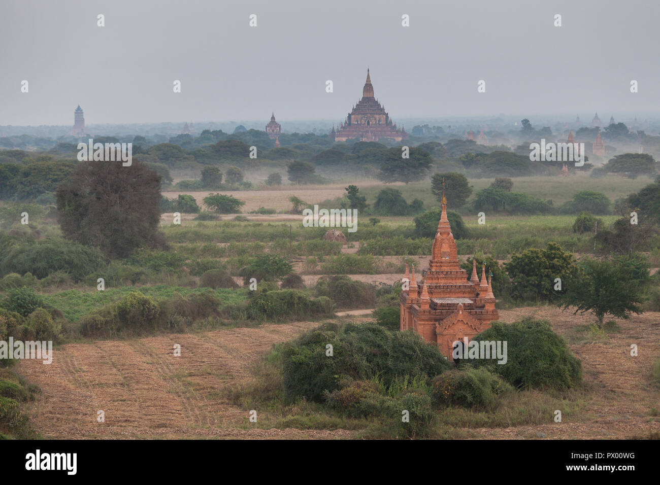 Panoramablick von Bagan Stupas und Tempeln, Myanmar Stockfoto