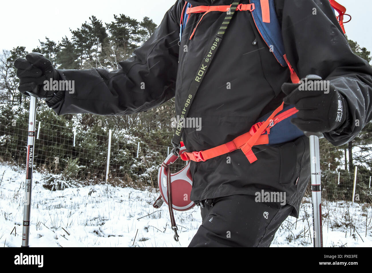 Serie von Fotografien der schneebedeckten hillwalk im Kilpatrick Hills mit Hunden. Stockfoto