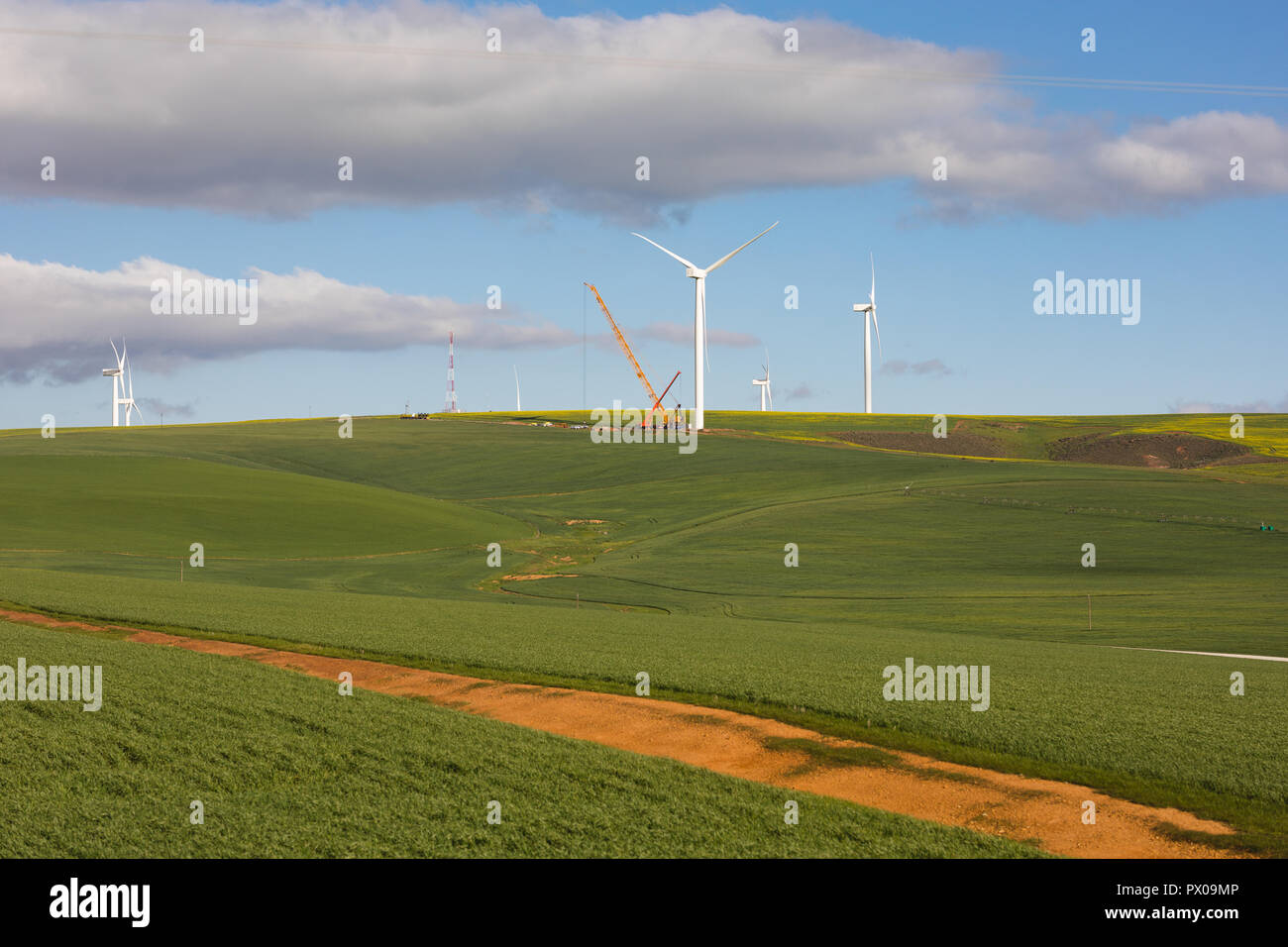 Windmühle in grüne Landschaft Stockfoto