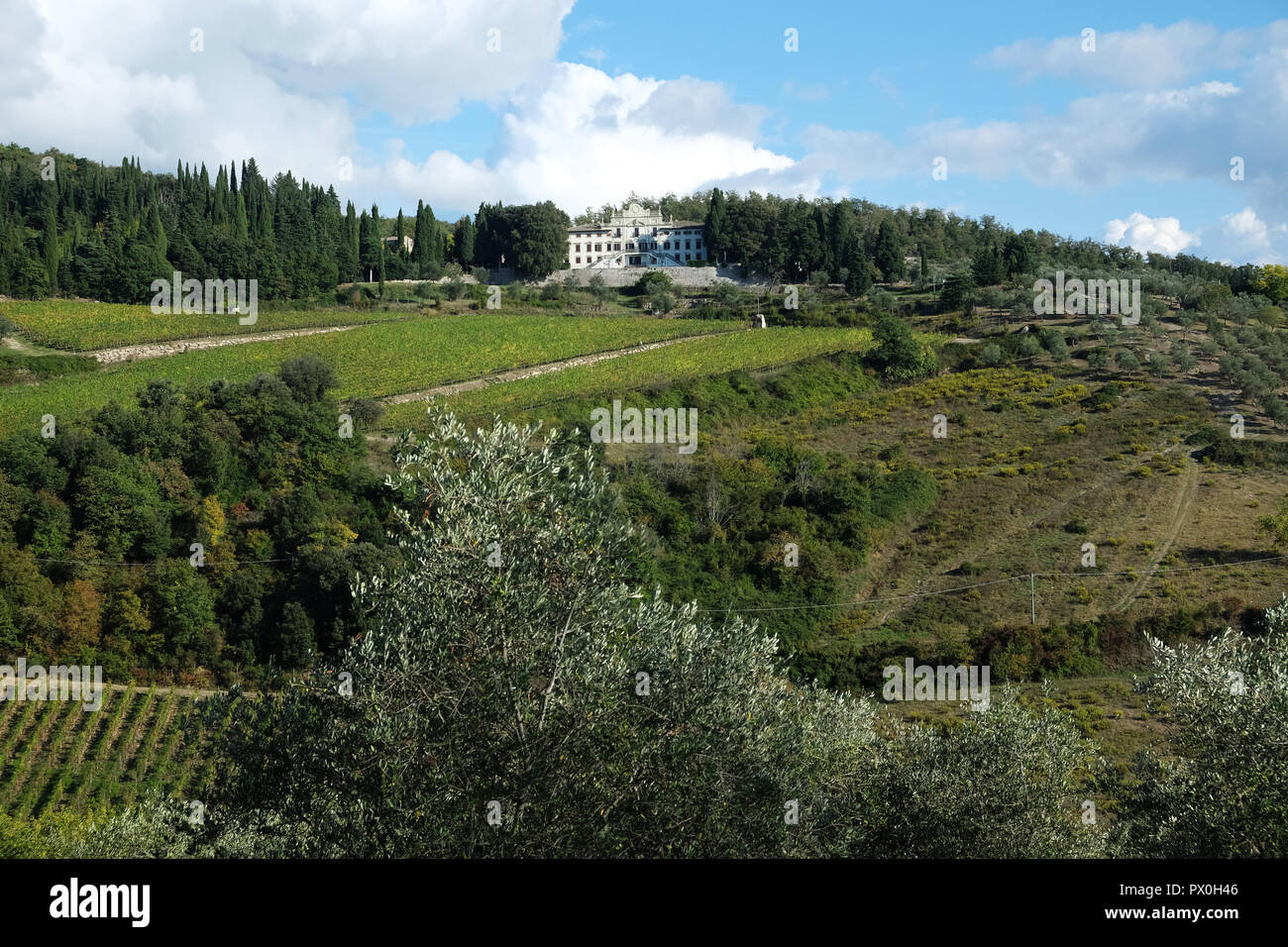 Villa Vistarenni gesehen über seine Weinberge, Gaiole in Chianti, Italien Stockfoto
