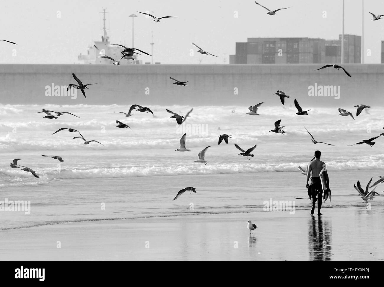 Surfer Stockfoto