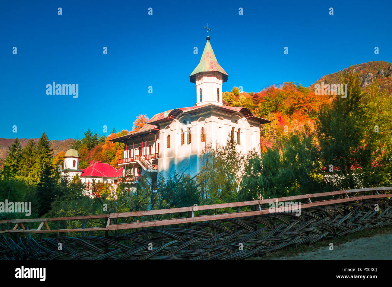 Calimanesti caciulata Fotos und Bildmaterial in hoher Auflösung Alamy
