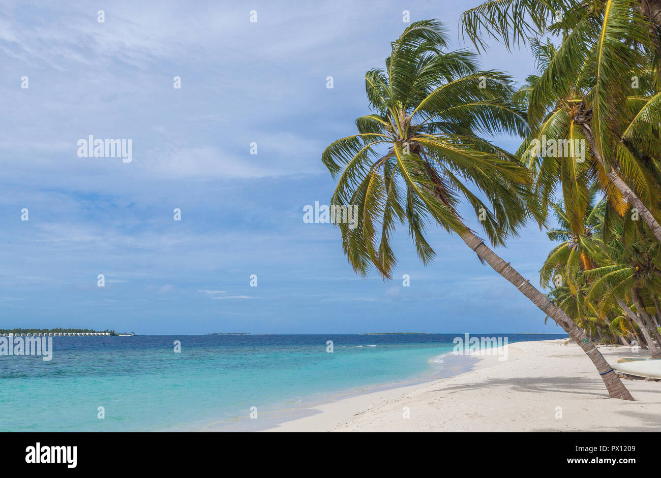 Strand mit Palmen Meedhoo Raa Atoll Insel der Malediven. Stockfoto
