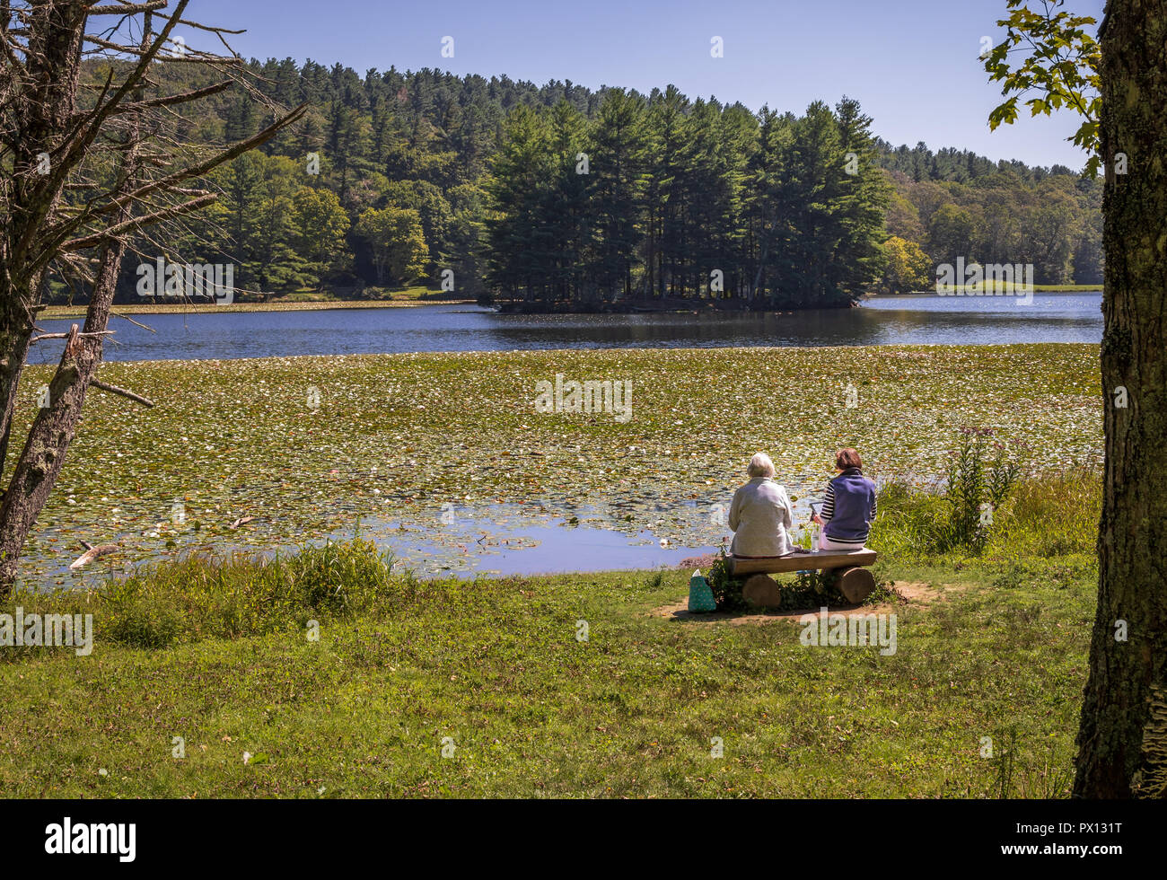 BLOWING ROCK, NC, USA -8/23/18: Zwei ältere Frauen sitzen auf einer Bank mit Blick auf Bass Lake, mit Seerosen über den See. Stockfoto