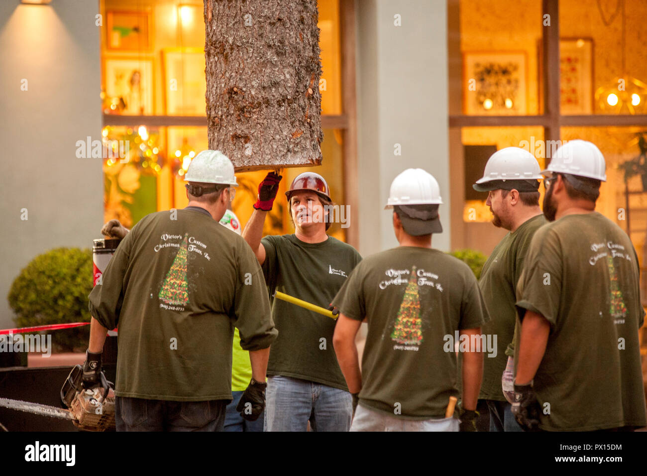 Ein Weihnachtsbaum Arbeit Mannschaft kontrolliert den Baumstumpf Weihnachtsbaum durch einen Kran gehalten, wie es in einer Newport Beach, CA, Luxus Shopping Mall installiert ist. Stockfoto
