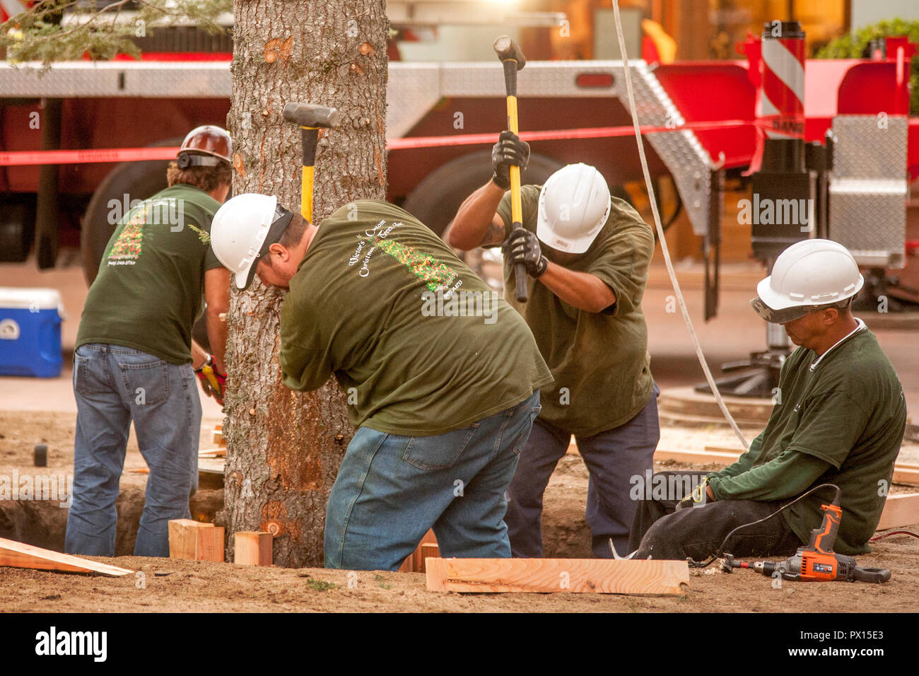 Mit Vorschlaghämmern, ein Weihnachtsbaum Arbeit Mannschaft klammern Baumstumpf einen Weihnachtsbaum mit einem Kran gehalten, wie es in einer Newport Beach, CA, Luxus Shopping Mall installiert ist. Stockfoto