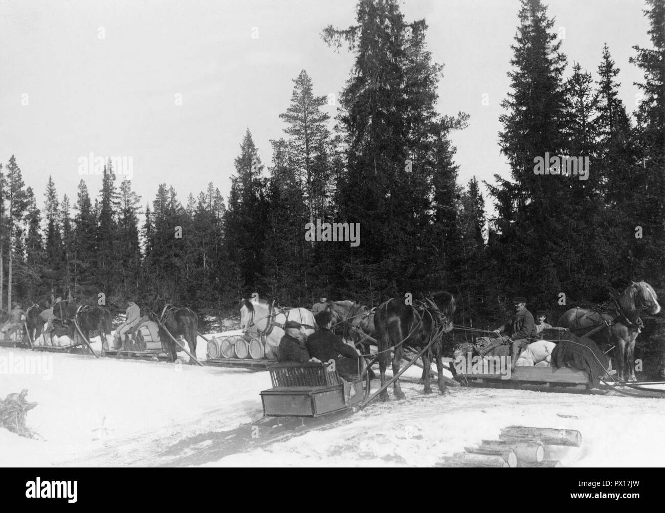 Beförderung von Gütern 1908. Fahrer und Pferde auf einer Straße zwischen beleuchtet und Häggenås in Jämtland Schweden. Sie transportieren Holz, Waren und andere Waren, die Sie verkauft und gekauft haben. Schweden 1908 Stockfoto