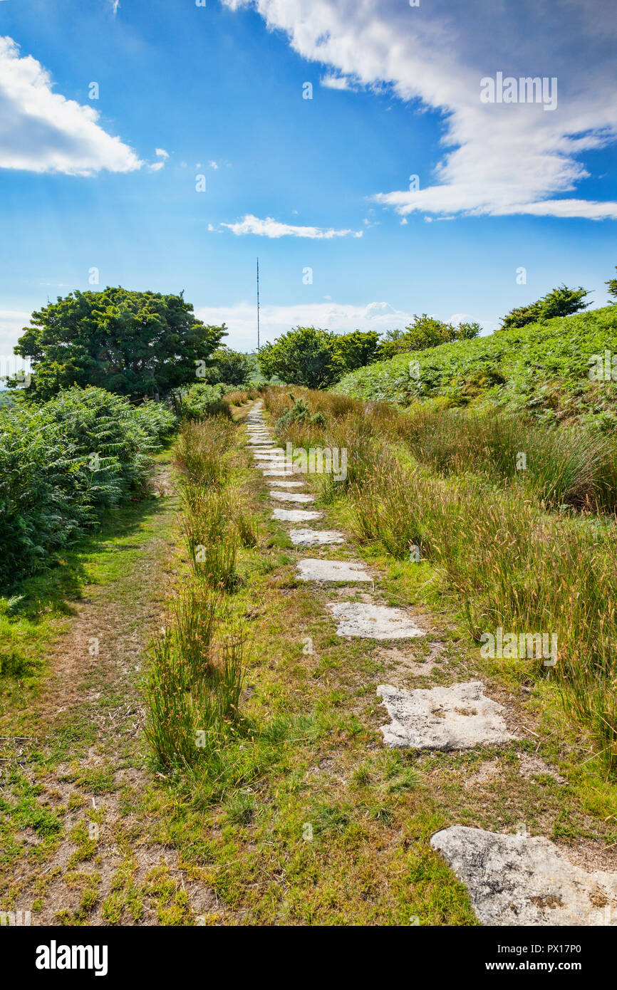 Granitplatten Form einen Track auf Bodmin Moor, alle, die Überreste einer alten Eisenbahnstrecke, aus dem 19. Jahrhundert Kohle auf das Moor, und Kupfer Stockfoto