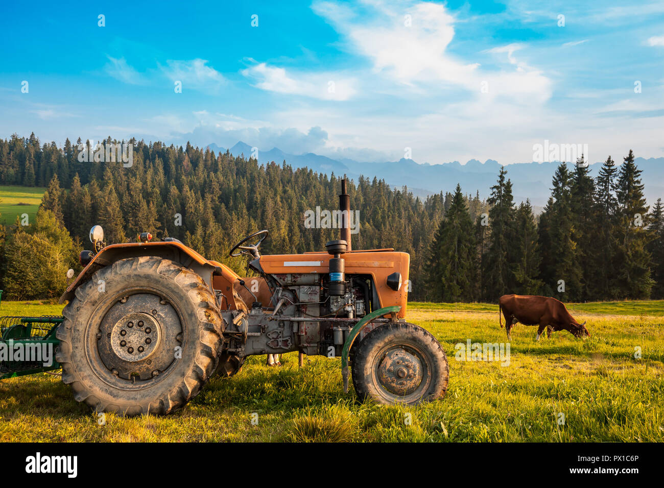 Wert der entdecken Sie typische Ansicht pieniny Region Tatra mountain Hintergrund Stockfoto