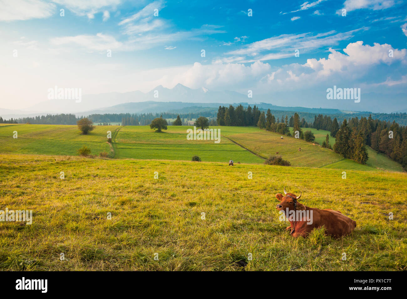 Wert der entdecken Sie typische Ansicht pieniny Region Tatra mountain Hintergrund Stockfoto