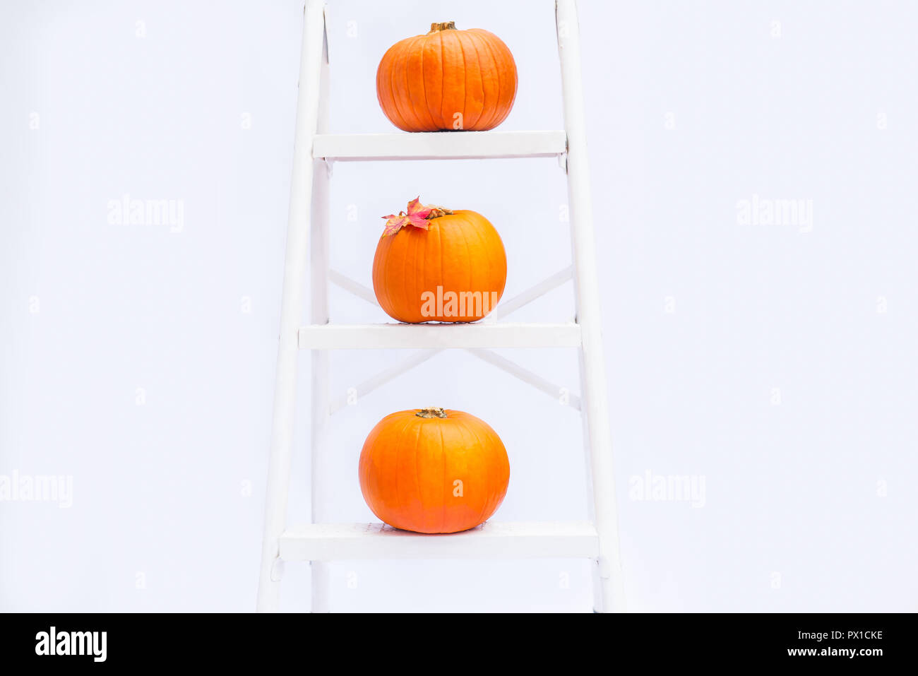 Zusammensetzung der drei Kürbisse mit maple leaf auf Treppen auf die Schritte der croped Sprosse der Leiter auf weißem Hintergrund. Herbstferien, Ernte, Hölle Stockfoto