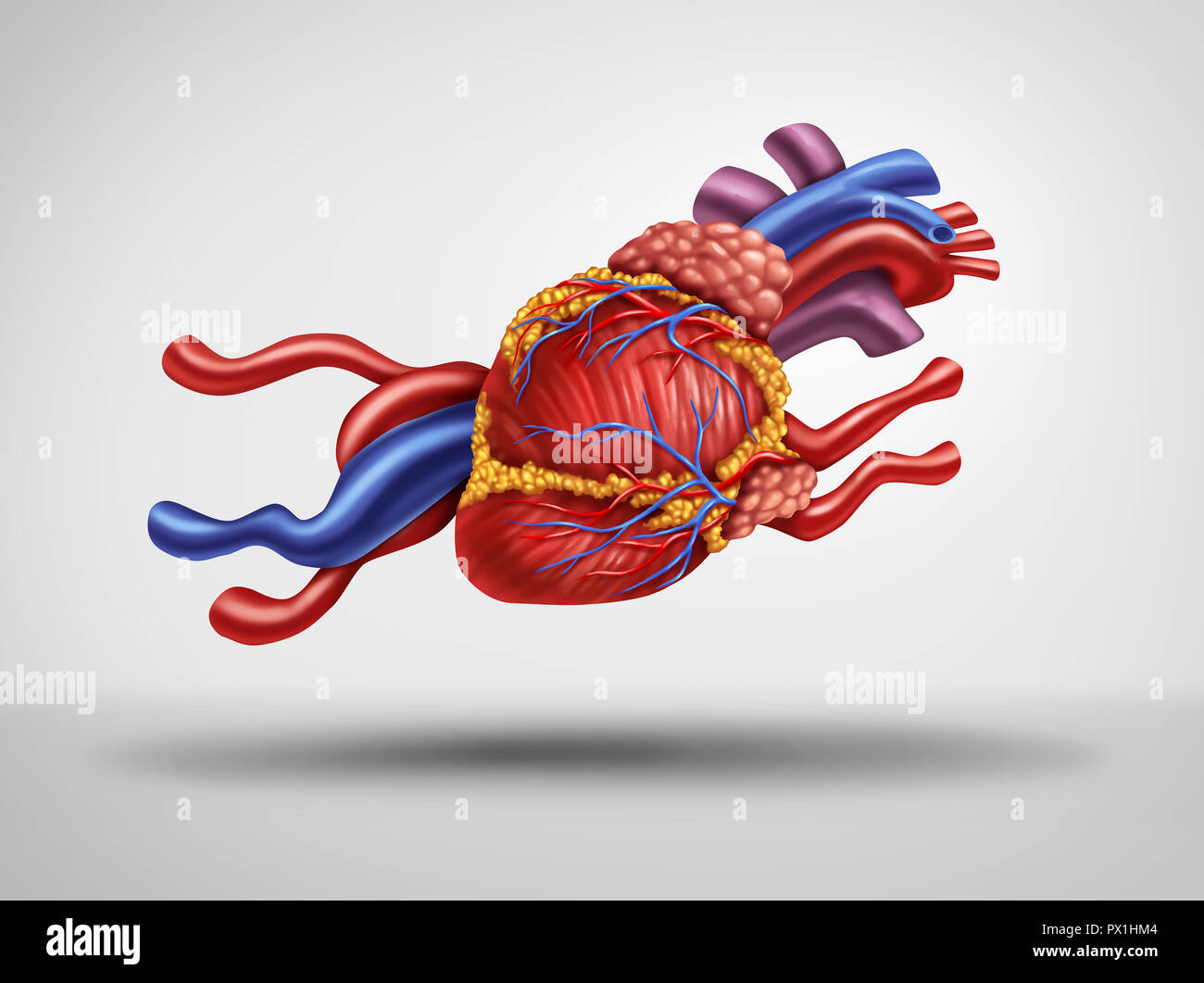 Herz zu schnell und schneller Herzschlag oder Puls als Kardiologie medizinisches Konzept als menschliche Kreislauf- Orgel als laufende Tier als kardiale Müdigkeit geprägt. Stockfoto