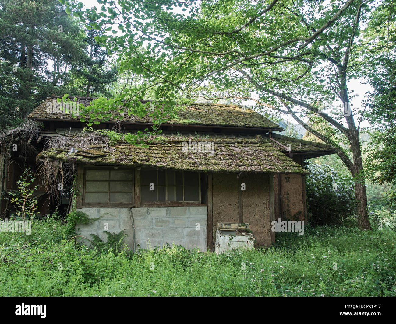 Verlassenen Bauernhaus, umgeben von grünen Blätter von Bäumen überwuchert, Highway 147, Ehime, Shikoku, Japan Stockfoto