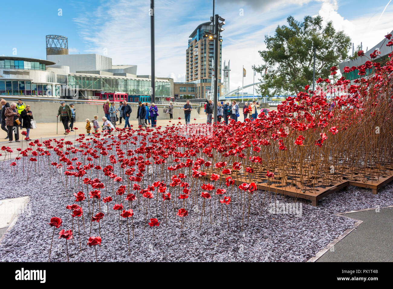 Mohn: Wave, von Paul Cummins und Tom Piper, im Imperial War Museum North, Salford Quays, Manchester, UK Stockfoto