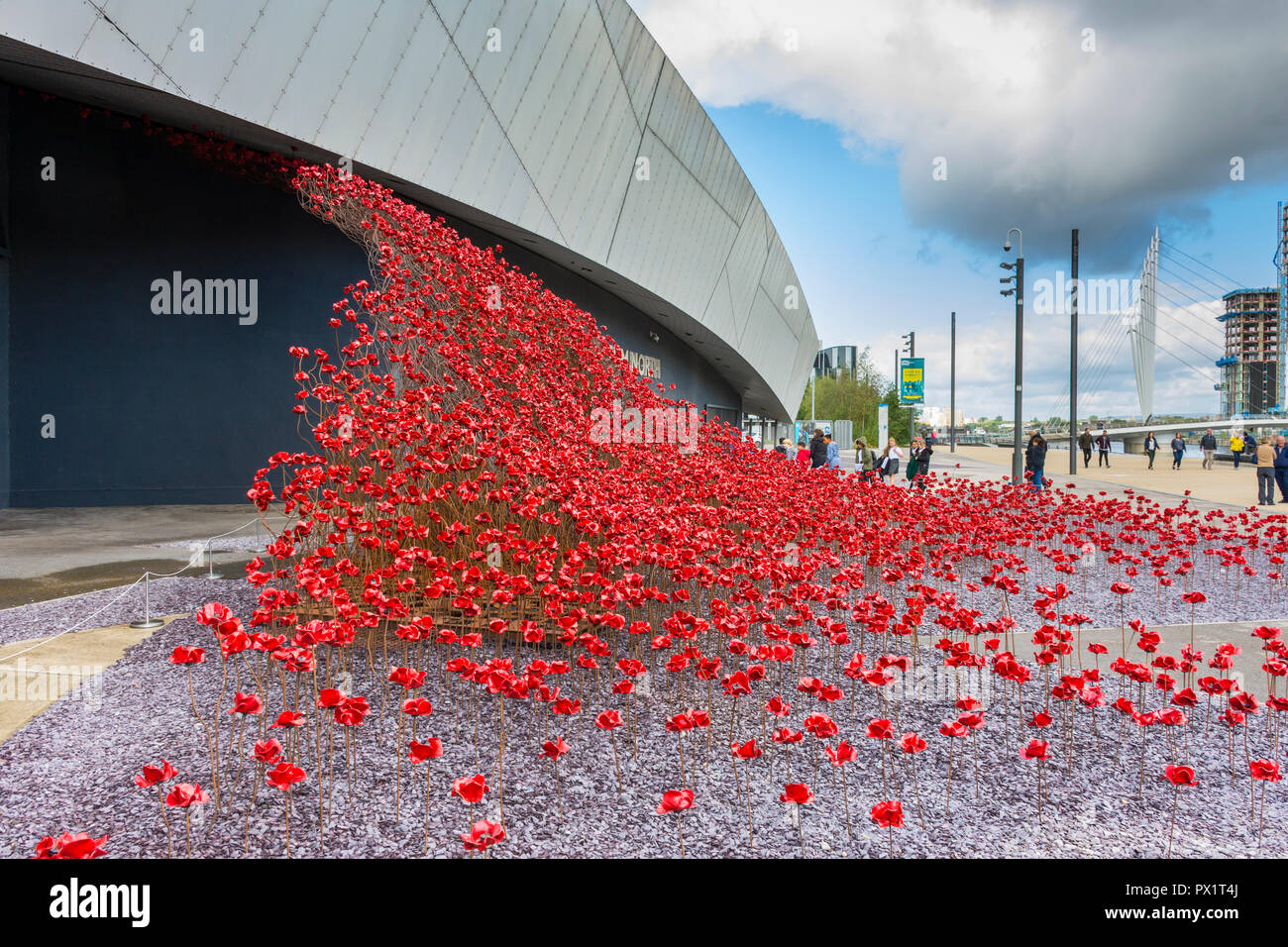 Mohn: Wave, von Paul Cummins und Tom Piper, im Imperial War Museum North, Salford Quays, Manchester, UK Stockfoto