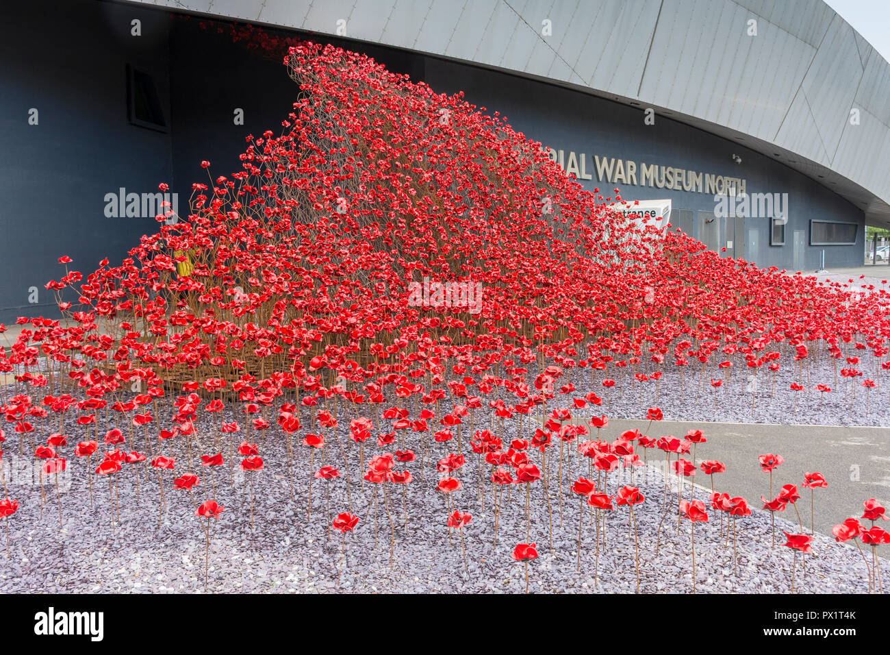 Mohn: Wave, von Paul Cummins und Tom Piper, im Imperial War Museum North, Salford Quays, Manchester, UK Stockfoto